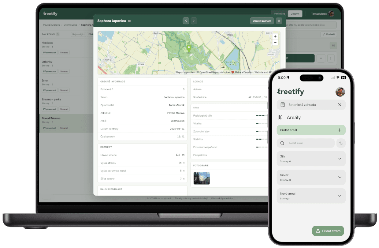 Treetify open on a laptop and a phone